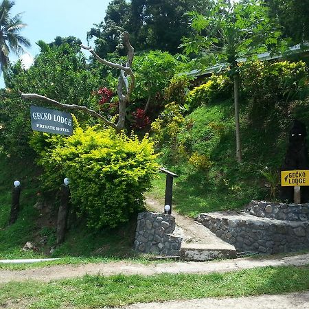 Gecko Lodge Fiji Savusavu Exterior foto