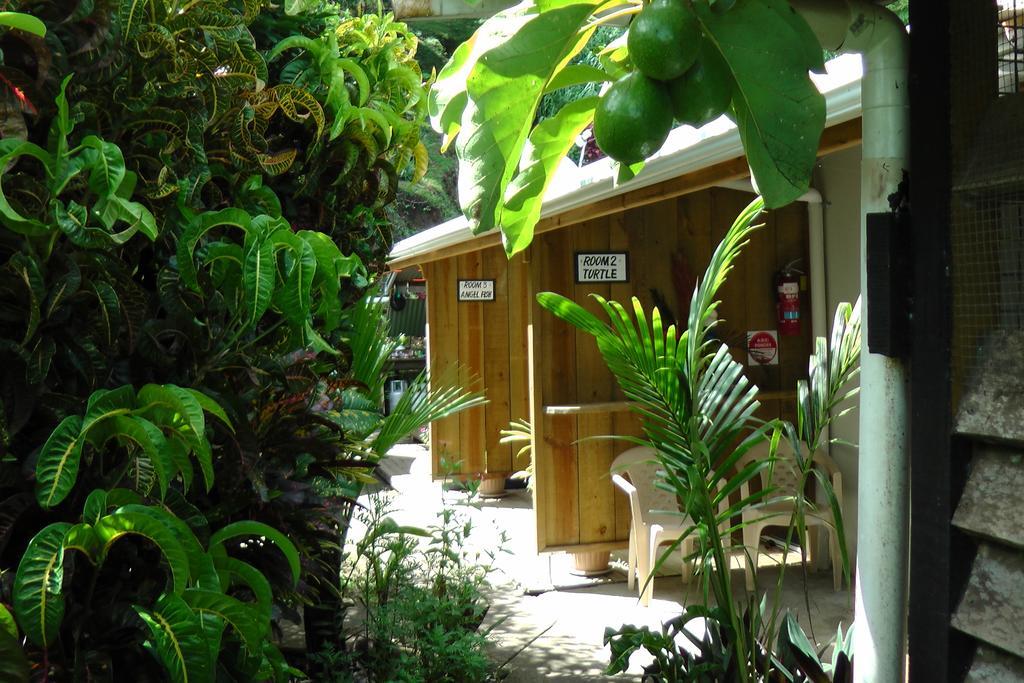 Gecko Lodge Fiji Savusavu Exterior foto