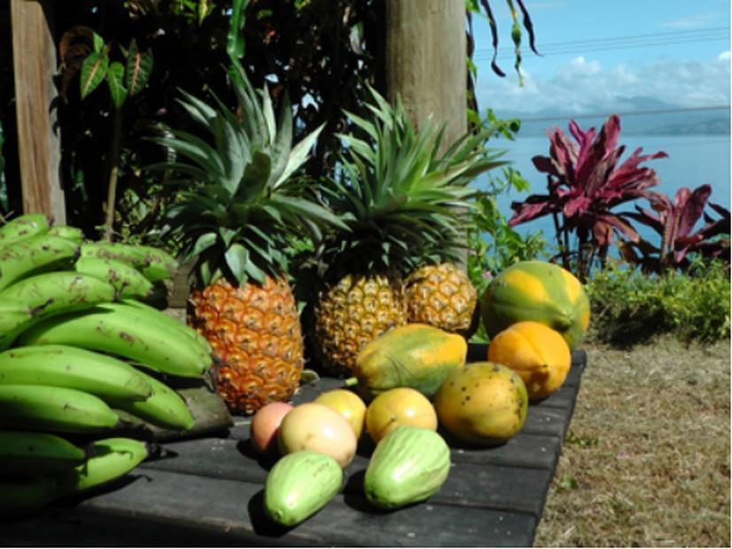 Gecko Lodge Fiji Savusavu Exterior foto