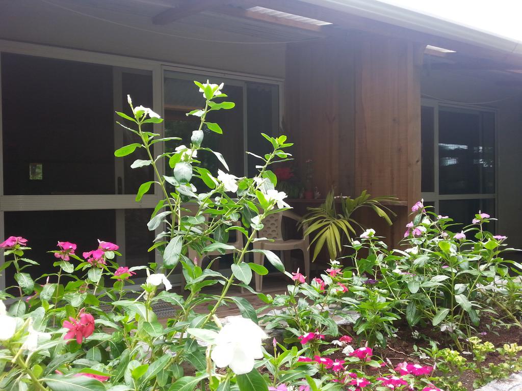Gecko Lodge Fiji Savusavu Exterior foto